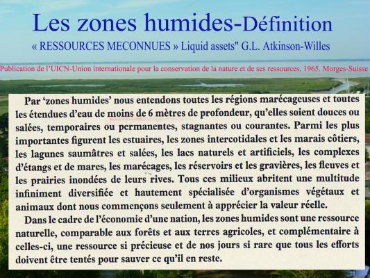 ZONES HUMIDES DEFINITION