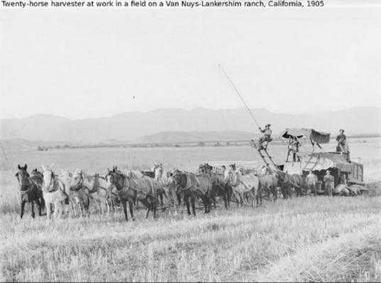 1905 espiscadora usa californie