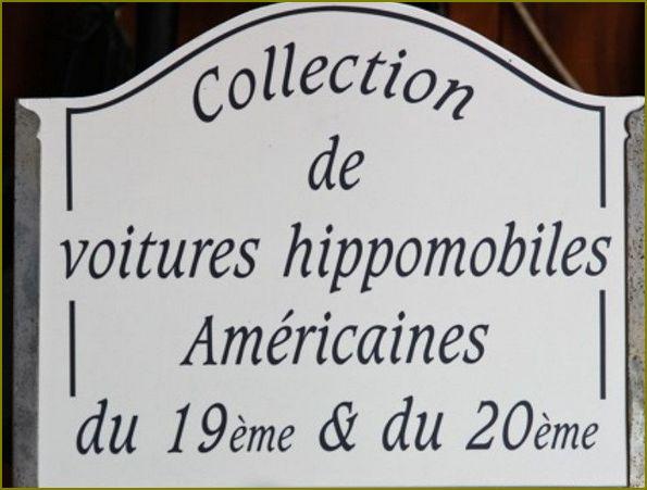 Collection voitures hippomobiles usa