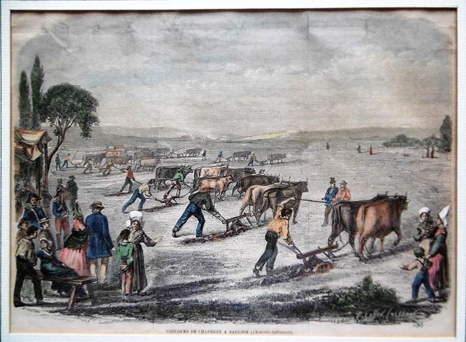 Concours de charrues a saugion saujon 1863