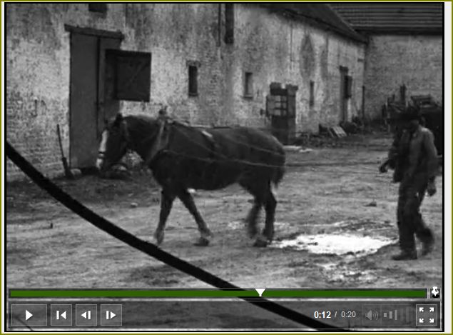 Guilbert film chevaux 1950