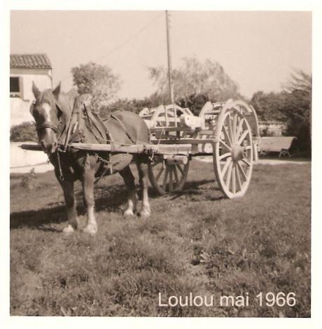 tesson-loulou-charrette-audry-mai-1966-t.jpg
